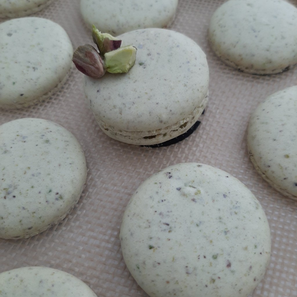 PISTACHE : Les trésors sucrés tunisois réinventés